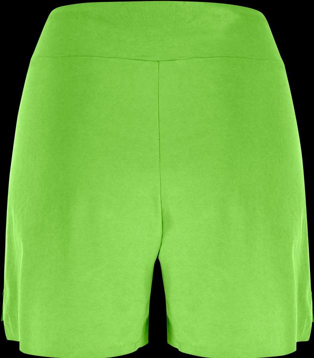 Image du produit Salewa Short Lavaredo Durastretch Da (38, M)