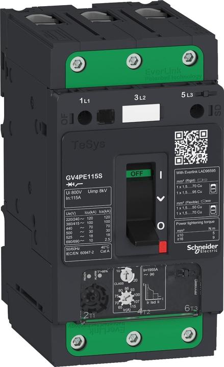 Actual product image Schneider Electric GV4PE Therm/Mag 80A 50kA Elink