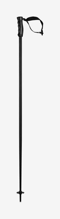 Produktbild Head Ski Pole Multi 2024 (150 cm)