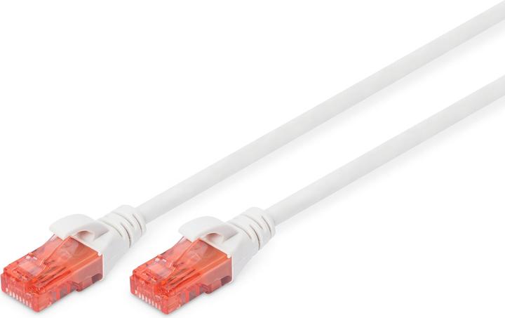 Image du produit Digitus Câble réseau (UTP, CAT6, 0.50 m)