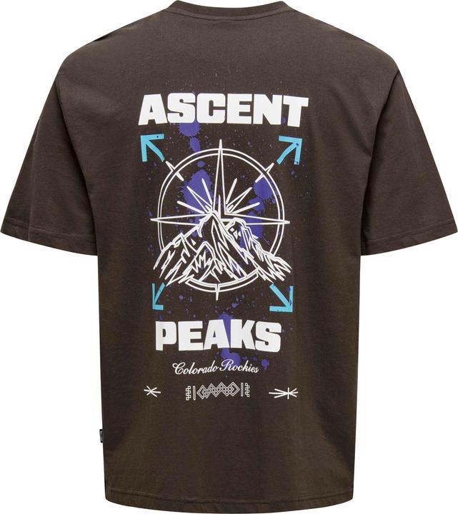 Produktbild Only & Sons Onskeane Rlx Ss Print Tee Noos (M)