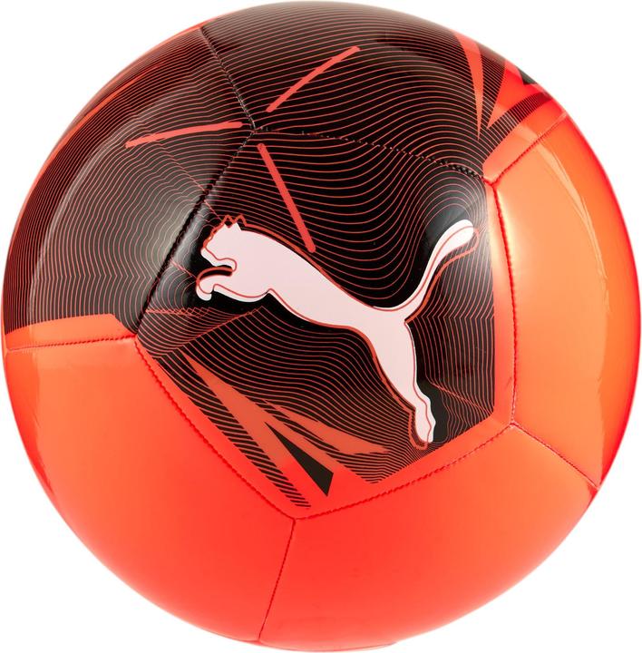 Actual product image Puma Big Cat