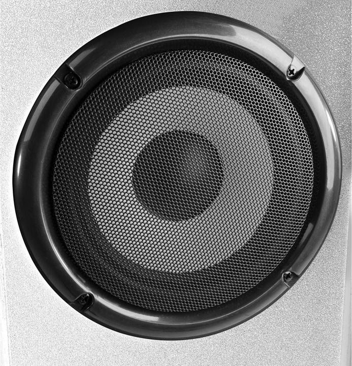 Actual product image Fenton SHF700W (Passive, 1x 30 W)