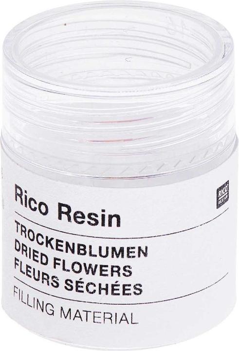 Produktbild Rico Design Füllmaterial Trockenblumen Rosa,.500700 (Trockenblumen)