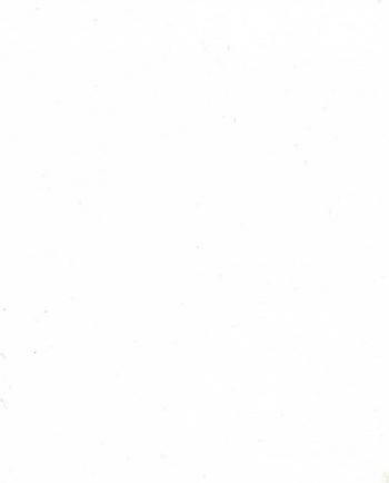Actual product image Pebeo Colorex water ink (White, 250 ml)