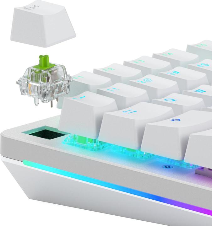 Produktbild Glorious Raptor Standard Switch, mechanisch, 5-Pin, clicky, MX-Stem, 55g - lubed, 36 Stück