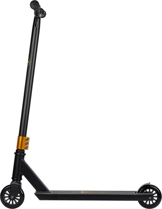 Actual product image Black Dragon Julien