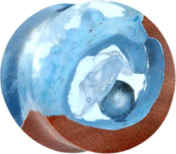 Image du produit Star Piercing Flared Plug Perle en grotte époxy bleu en bois de saba (sans laiton, Organique)