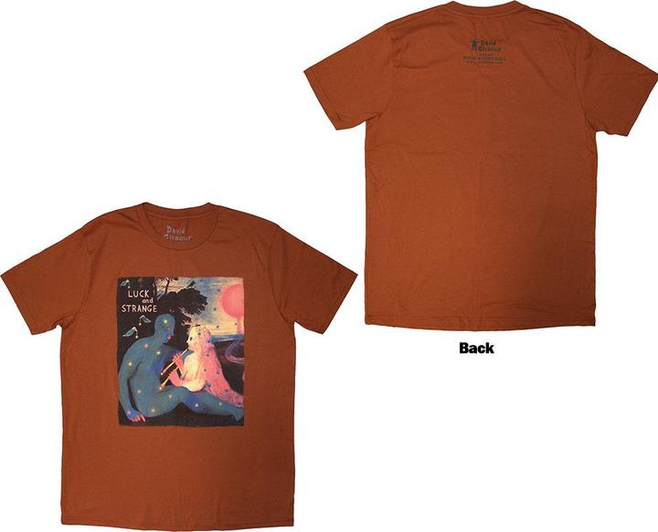 David Gilmour Luck & Strange London 2 (L)