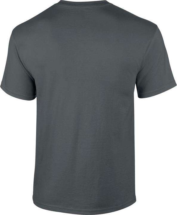 Actual product image Gildan Mens Ultra Cotton T-Shirt (XL)