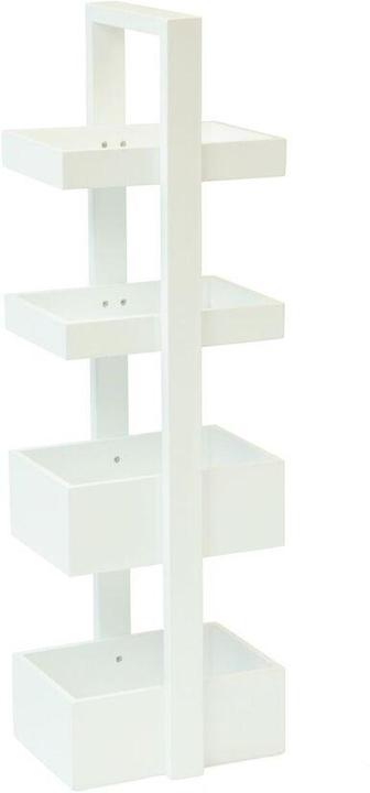 Actual product image Wireworks Mount Fuji