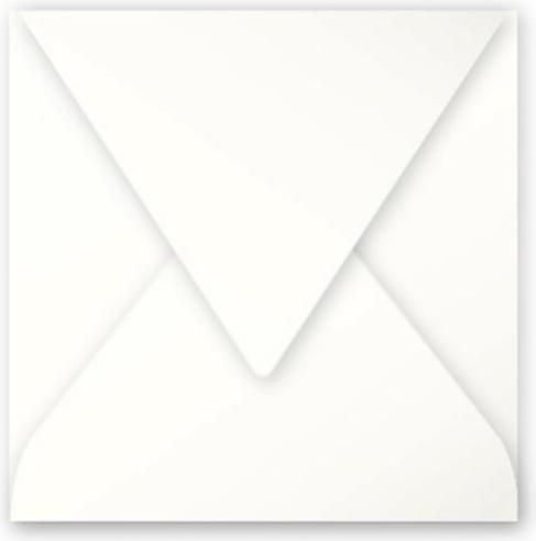 Actual product image Pollen Envelopes (120 x 120 mm, 20 x)