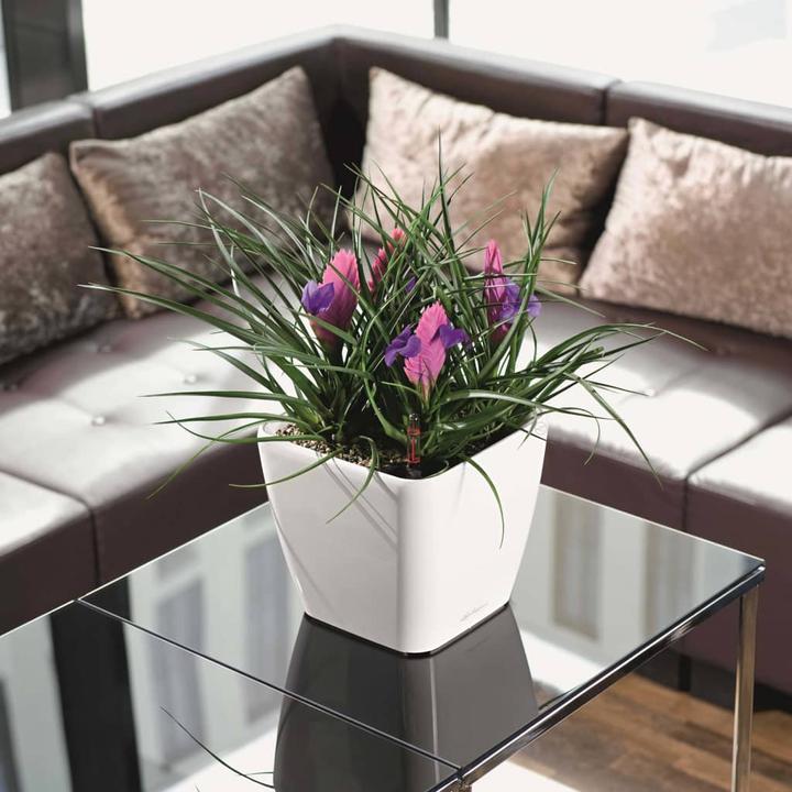 Produktbild Lechuza Quadro LS (35.50 cm)