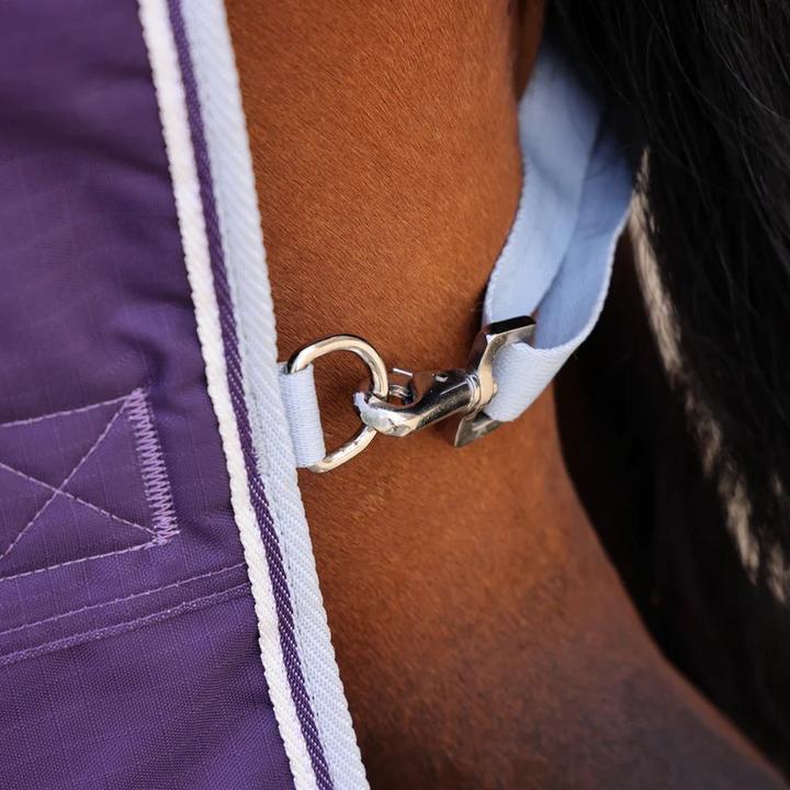 Actual product image Highlander Original 100 Standard-Neck 100g Horse Turnout Rug (198 cm)