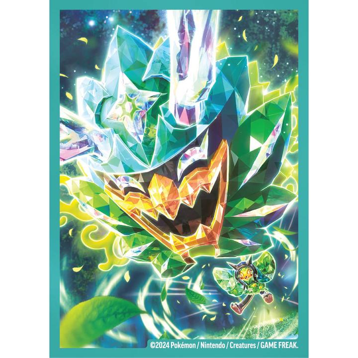 Actual product image Pokémon EX Premium Collection 2024 (German, Box Set & Collection)