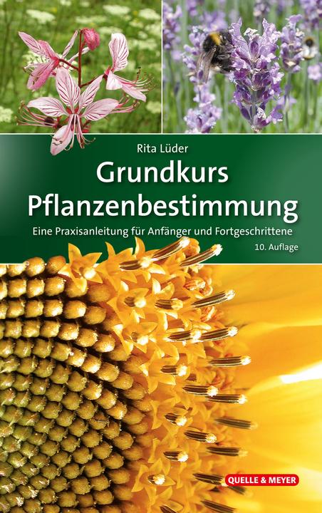 Immagine prodotto Grundkurs Pflanzenbestimmung (Tedesco, Rita Lüder, 2022)
