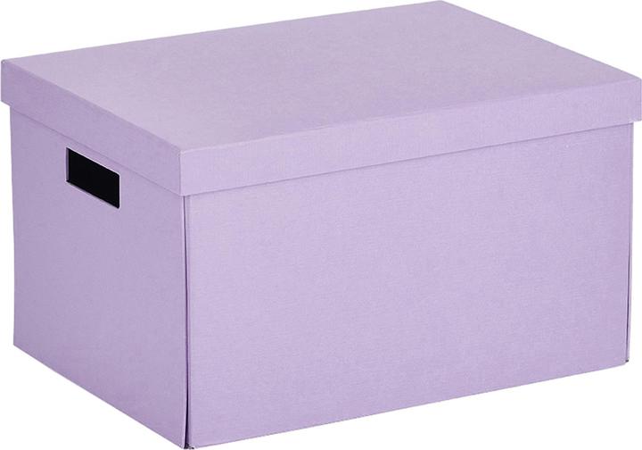 Zeller Present Aufbewahrungsbox (25 x 35 x 20 cm)
