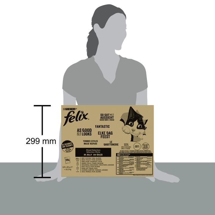 Produktbild Felix Agail (Adult, 120 Stk., 10200 g)