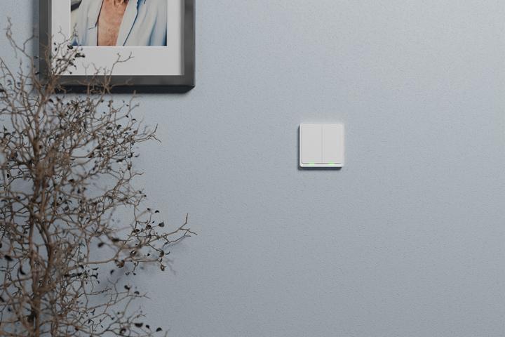 Produktbild Tesla TSL-SWI-ZIGBEE2
