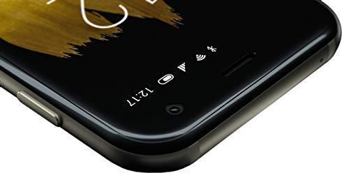 Actual product image Palm PVG100 (32 GB, Titanium Black, 3.30", Single SIM, 12 Mpx, 4G)