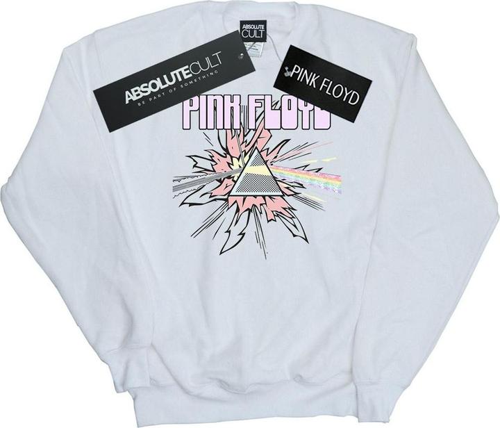Actual product image Pink Floyd Womens/Ladies Pastel Triangle Sweatshirt (S)