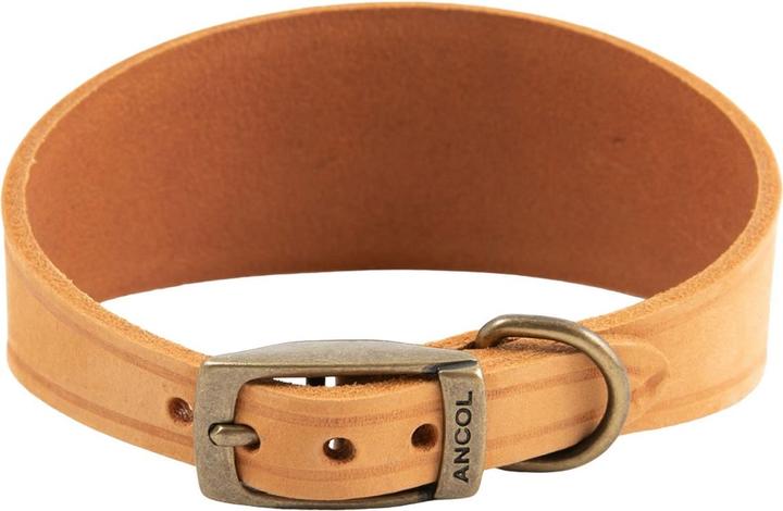 Image du produit Ancol - Collier pour chiens TIMBERWOLF HOUND (30, 31, 32, 33, 34, Chien, Général)