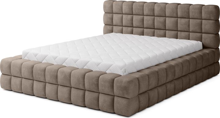 Dark Beige Amore 20