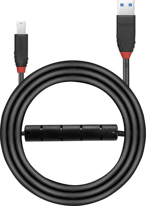 Actual product image Lindy USB A — USB B (10 m, USB 3.2)
