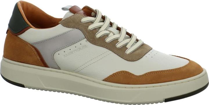 Beige, cammello bege
