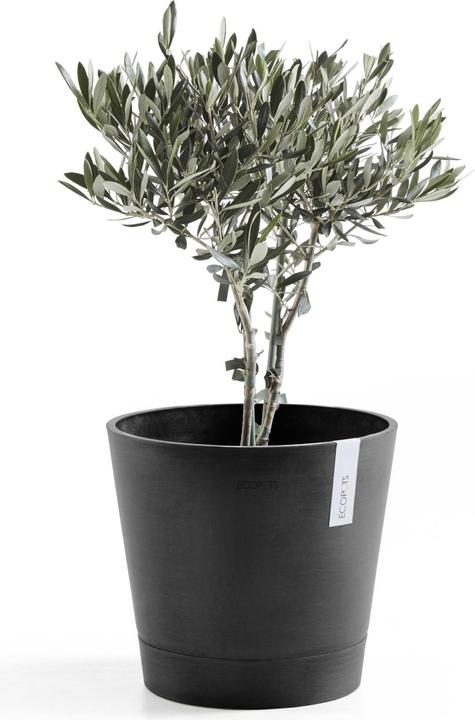 Actual product image Ecopots Venice (30 cm)