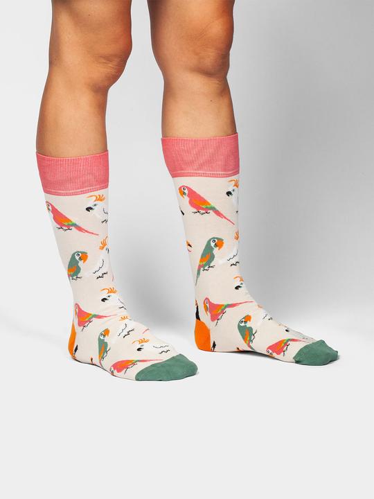 Produktbild DillySocks Sand Aviary (Einzelpack, 36 - 41)