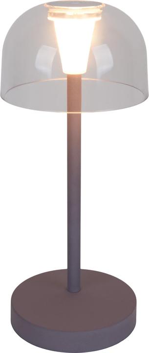 Actual product image Näve Akku- Tischleuchte GOMBA brombeere 2er Set (87 lm)