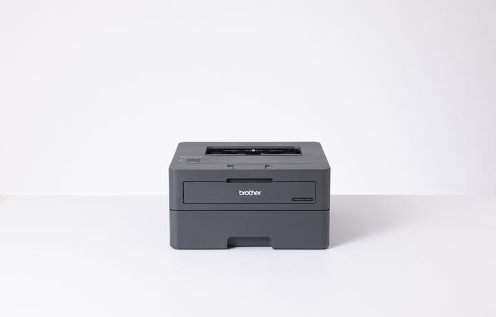Actual product image Brother HL-L2400DW (Laser, Black and white)