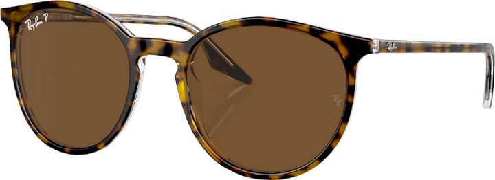 Ray Ban RB2204 marron polarisé sur havane/transparent M