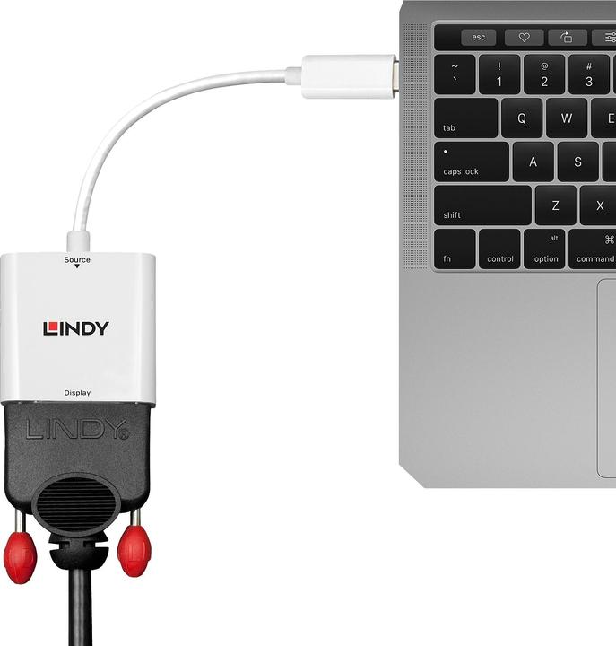 Produktbild Lindy USB 3.1 Typ C zu (DVI, 17 cm)