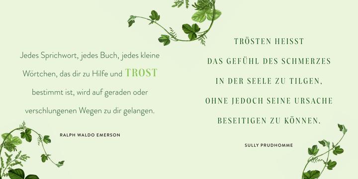 Immagine prodotto Was bleibt, ist die Erinnerung (Tedesco, 2024)