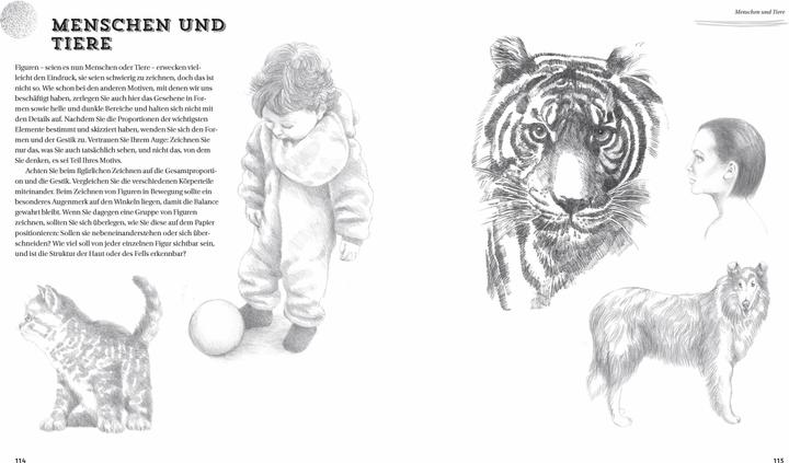 Immagine prodotto Einfach zeichnen! Step-by-Step-Anleitungen für Anfänger (Tedesco, Susie Hodge, 2025)