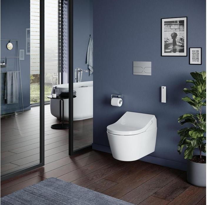 Actual product image TOTO RP Wall-hung WC deep rimless for RX and RW Washlet white