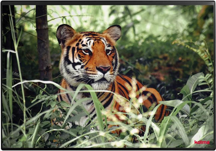 Image du produit Kolma Sous-main Poster (Tigre) 50 x 34 (50 x 34 cm)