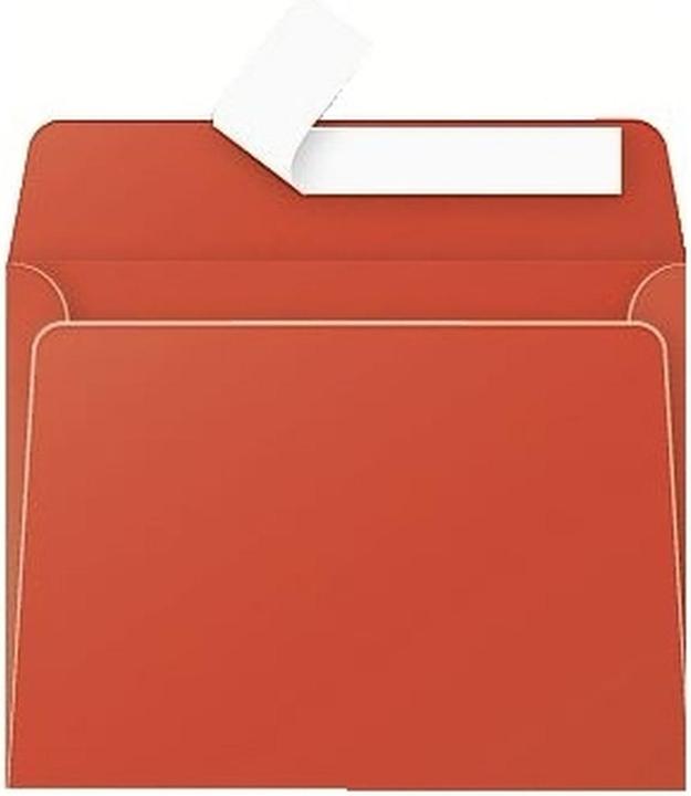 Actual product image Pollen Envelopes (90 x 140 mm, 20 x)