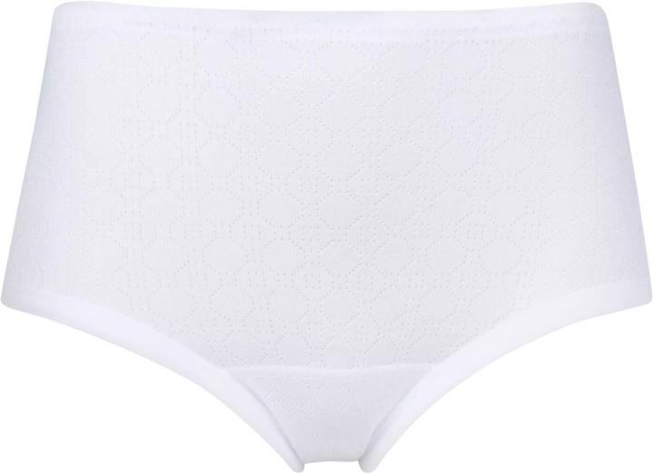 Calida Iconics
