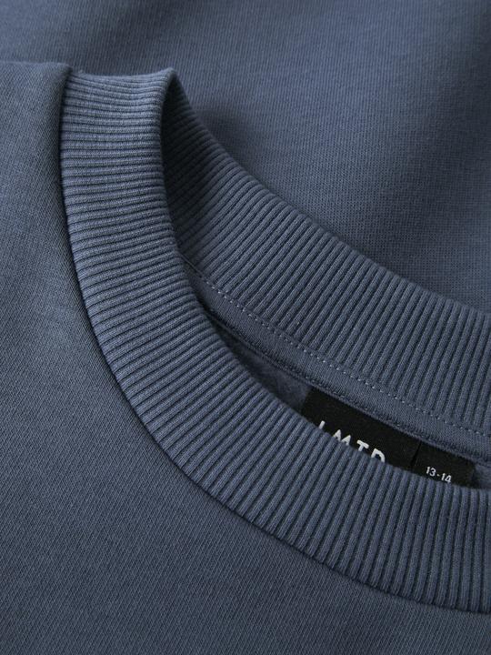 Actual product image Lmtd Langarm Sweatshirt (170)