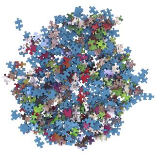 Produktbild Ravensburger Puzzle Katzen 2 x 500 Teile (500 Teile)