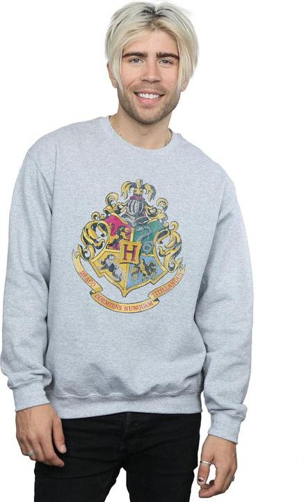 Image du produit - Sweat - Homme (L)