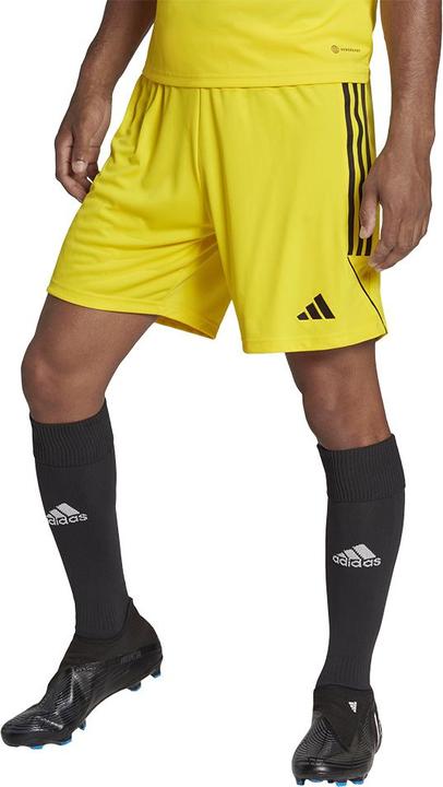 Actual product image adidas Tiro 23 training shorts men (XS)