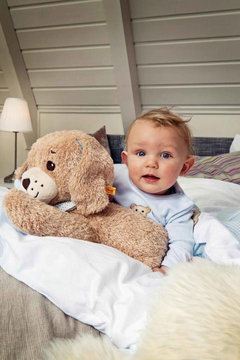 Image du produit Steiff Good-Night Dog