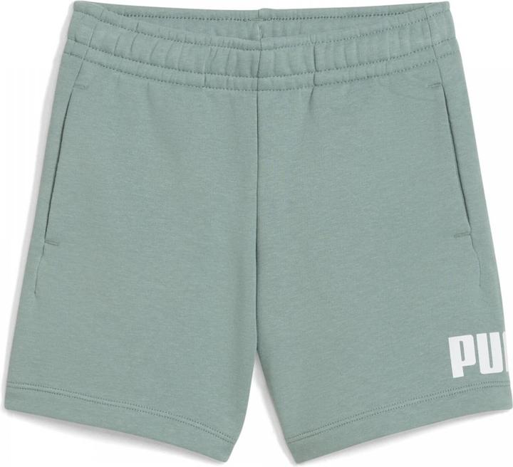 Actual product image Puma ESS No. 1 Logo Shorts TR PS (116)