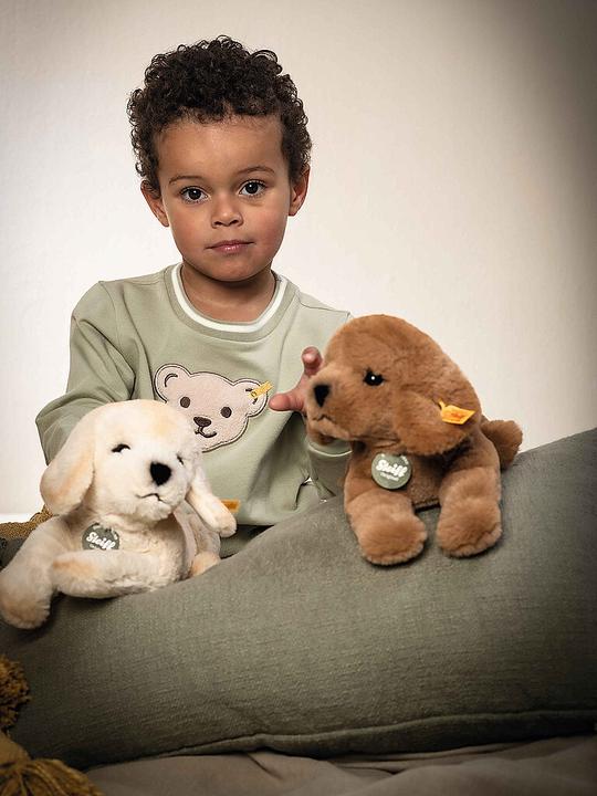 Produktbild Steiff Teddies for tomorrow Lenny labrador bruin 23 cm (23 cm)