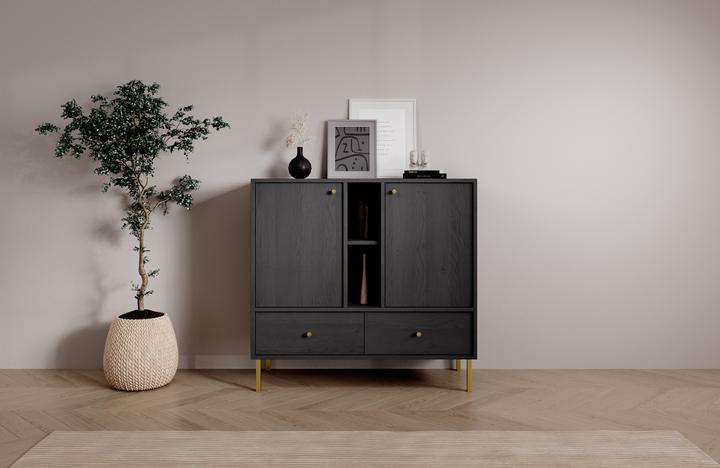 Actual product image ADRK Furniture Tili 2D 2S 2P chest of drawers (100.5 x 41 x 95 cm)