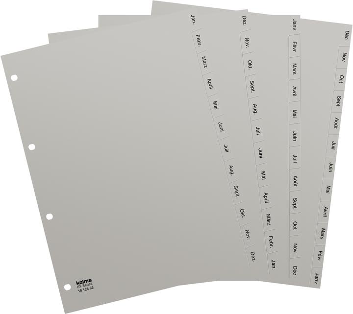 Produktbild Kolma Register A4 strong Jan-Dez (de) 12-teilig grau